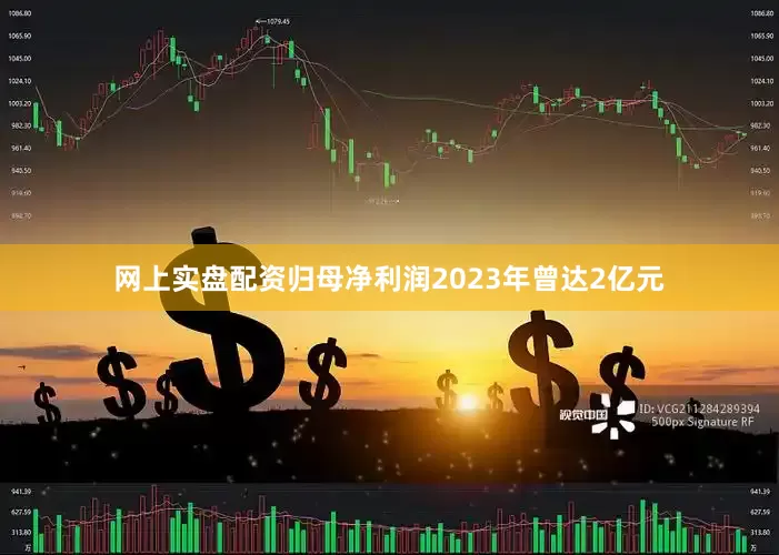 网上实盘配资归母净利润2023年曾达2亿元