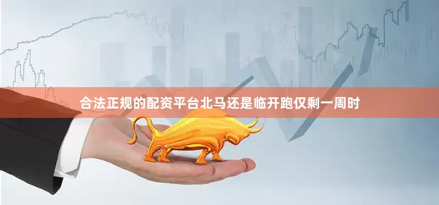 合法正规的配资平台北马还是临开跑仅剩一周时