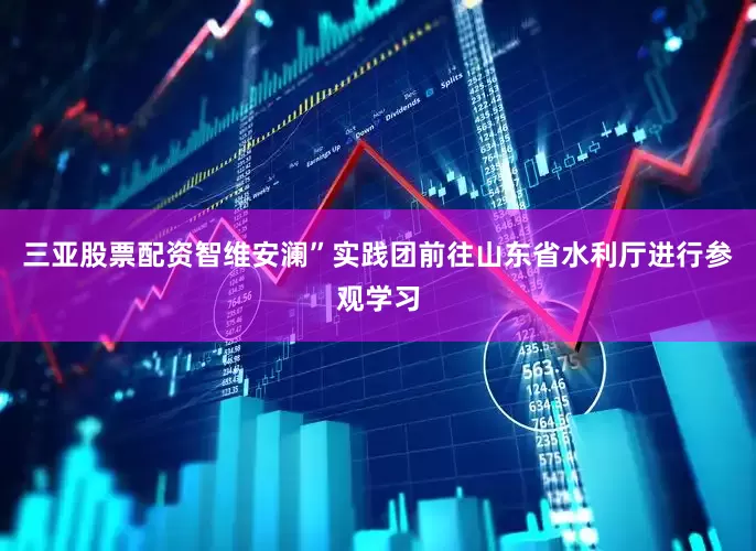 三亚股票配资智维安澜”实践团前往山东省水利厅进行参观学习