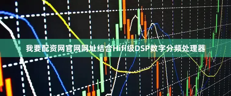 我要配资网官网网址结合Hifi级DSP数字分频处理器
