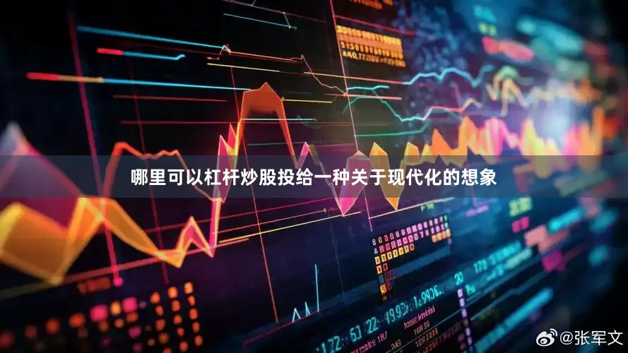 哪里可以杠杆炒股投给一种关于现代化的想象